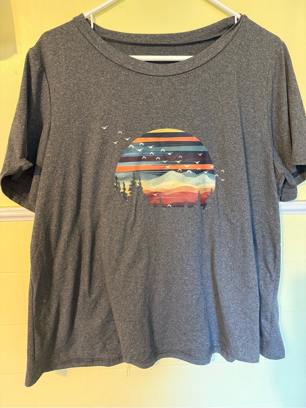 SHEIN Gray Tee with Colorful Sunset Circle Graphic